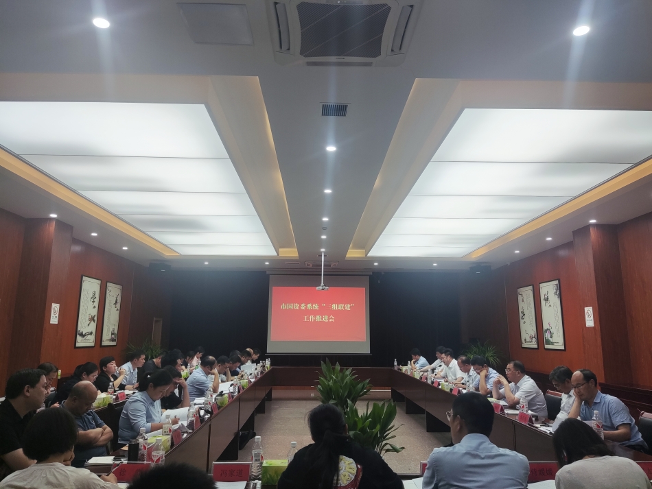 2024年7月17日，市國資委系統(tǒng)在公司開展“三組聯(lián)建”現(xiàn)場(chǎng)觀摩（推進(jìn)會(huì)）_副本